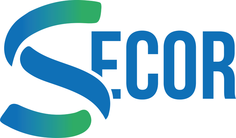 SECOR - The company founders have extensive expertise in the field of industrial production and management